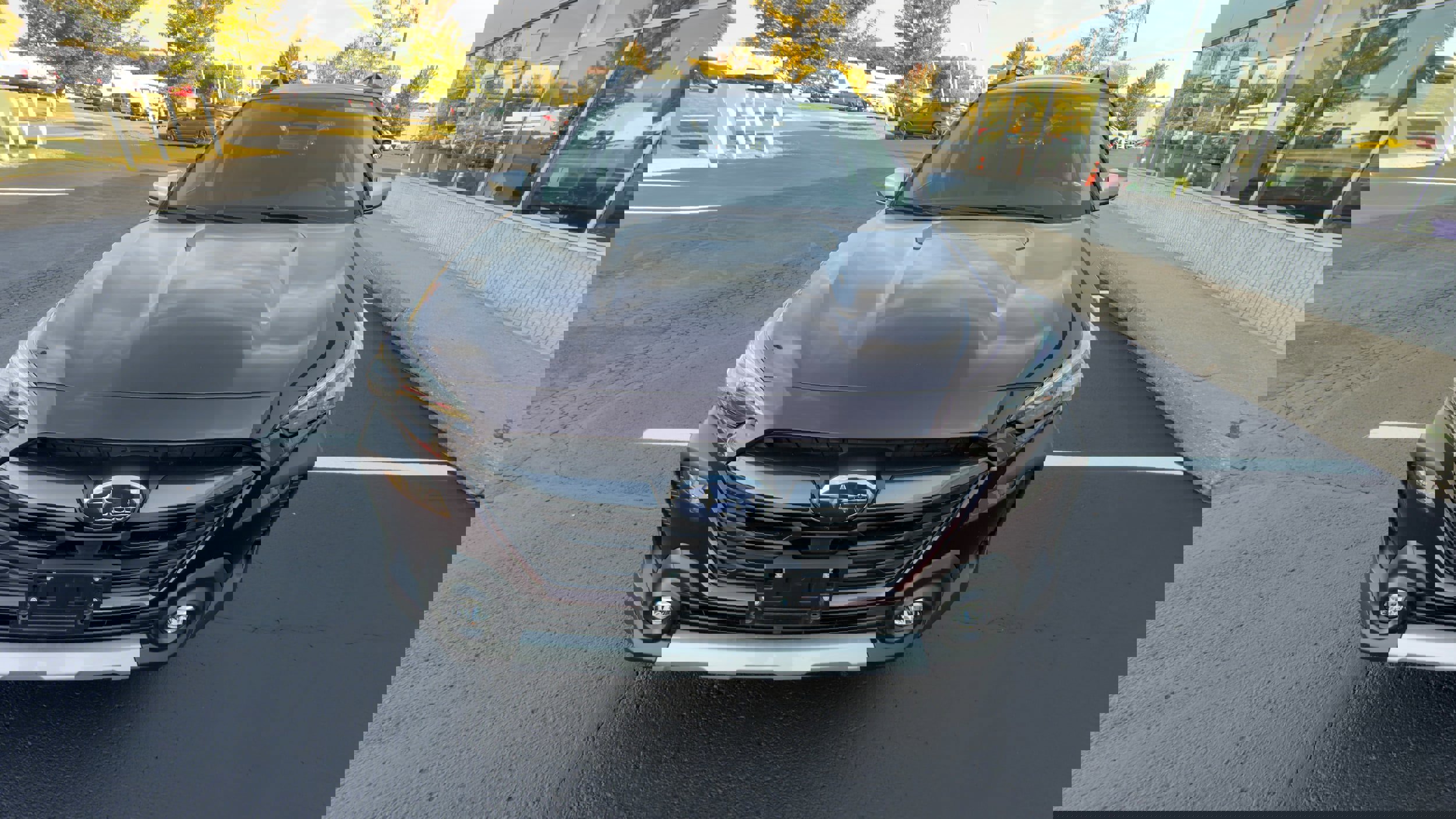 Certified 2025 Subaru Outback Touring XT image 8