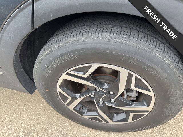 Certified 2024 Kia Sportage LX image 5