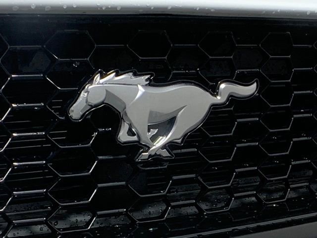Used 2024 Ford Mustang GT Premium image 15