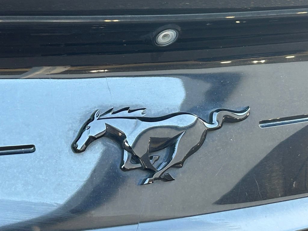 Certified 2019 Ford Mustang Premium w/ Equipment Group 201A RWD image 21