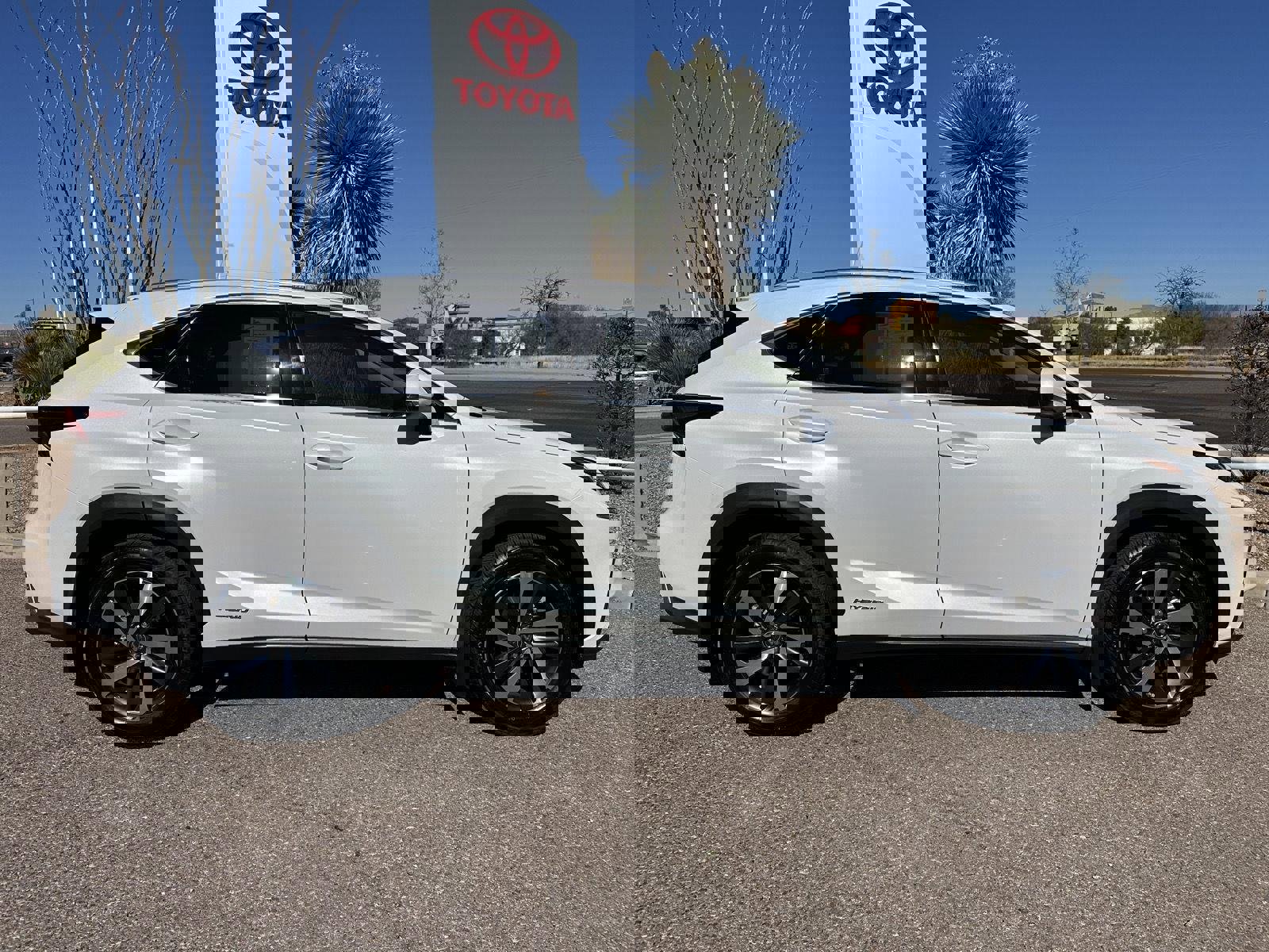 Used 2020 Lexus NX 300h AWD w/ Premium Package image 8