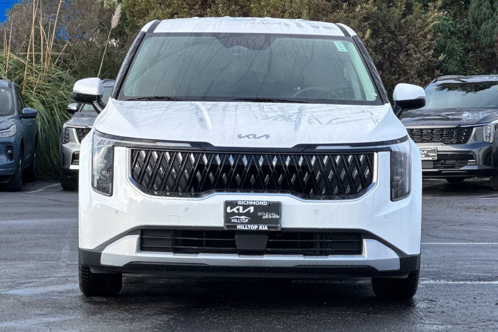 New 2026 Kia Carnival image 9