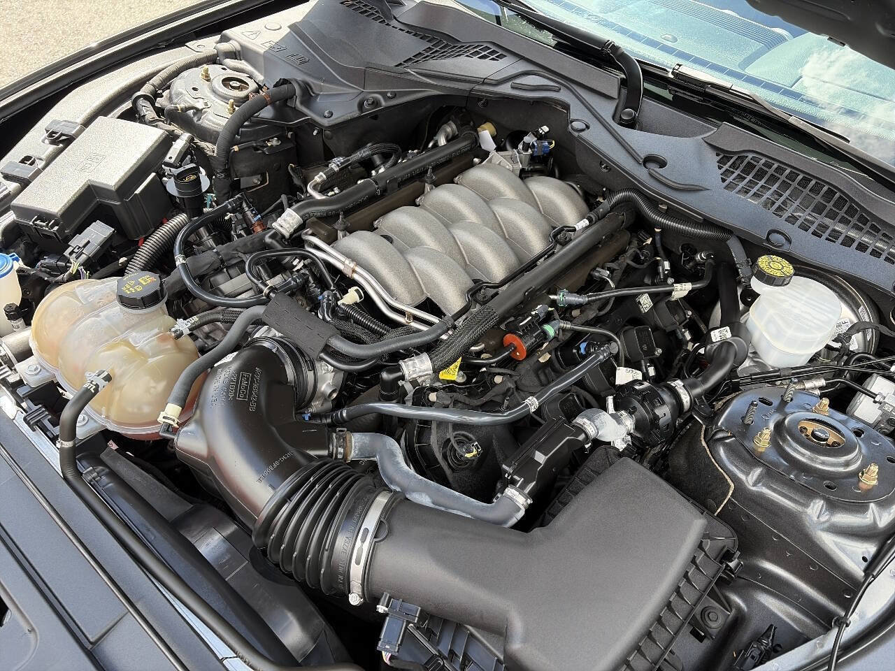 Used 2020 Ford Mustang GT w/ Equipment Group 301A RWD image 16
