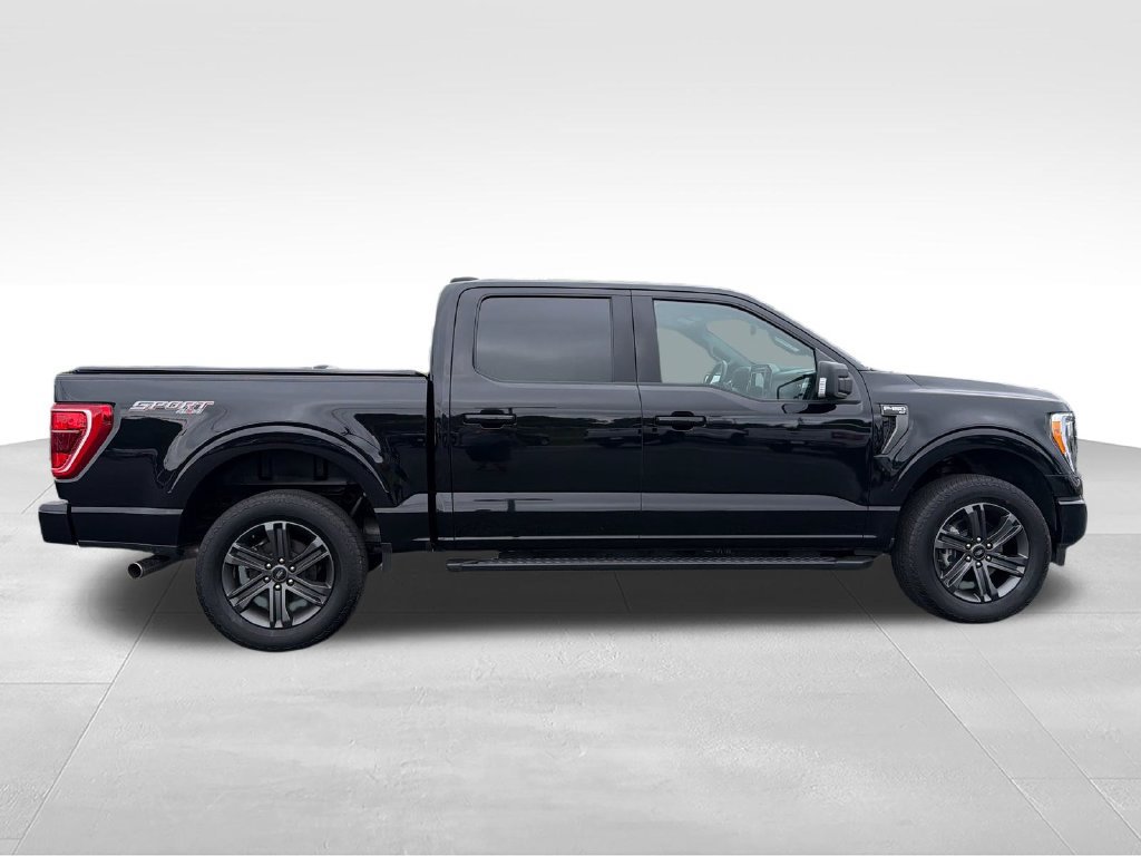 Used 2023 Ford F150 XLT w/ Equipment Group 302A High AWD/4WD image 6