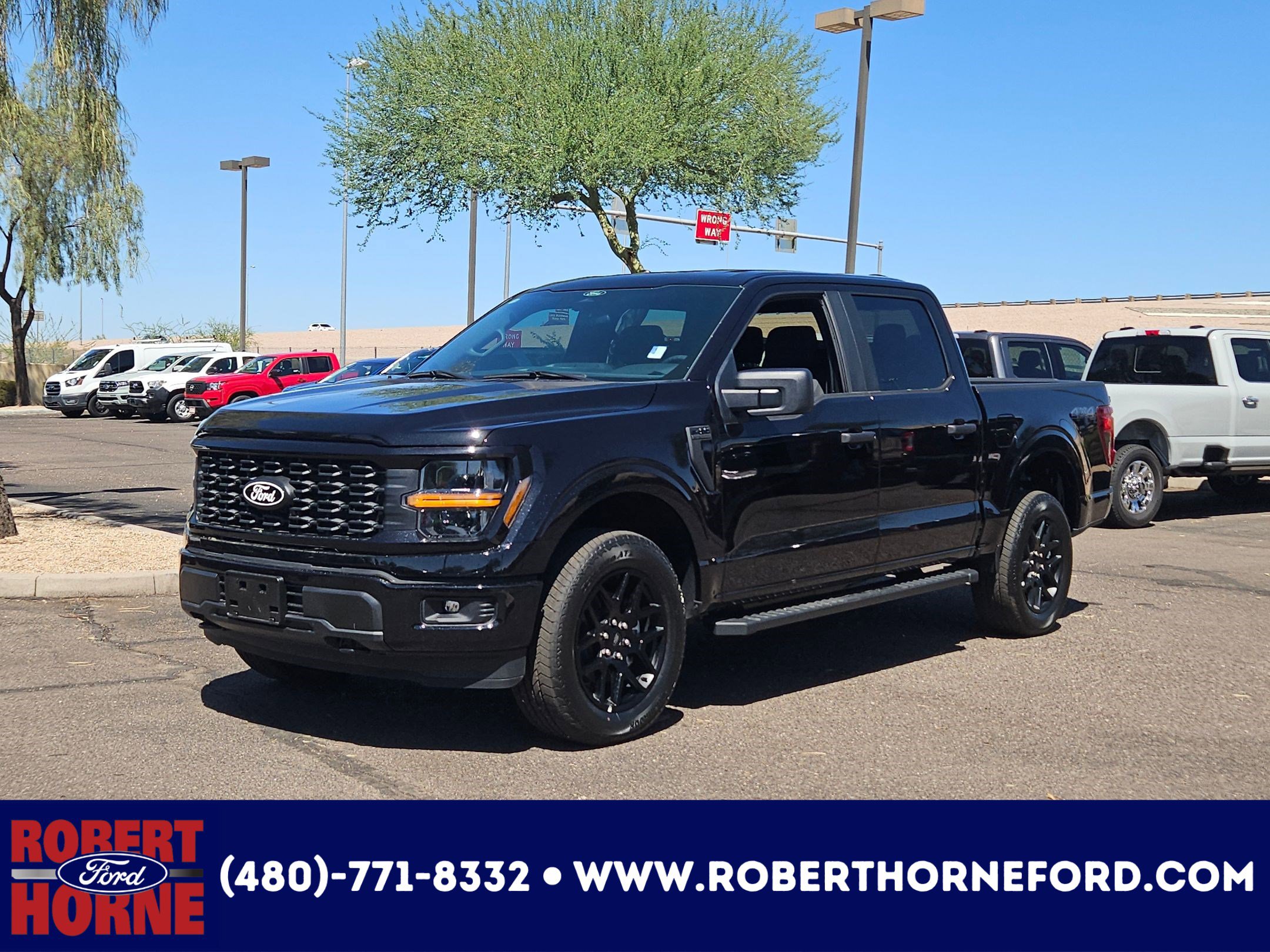 New 2025 Ford F150 STX w/ STX Black Appearance Package
