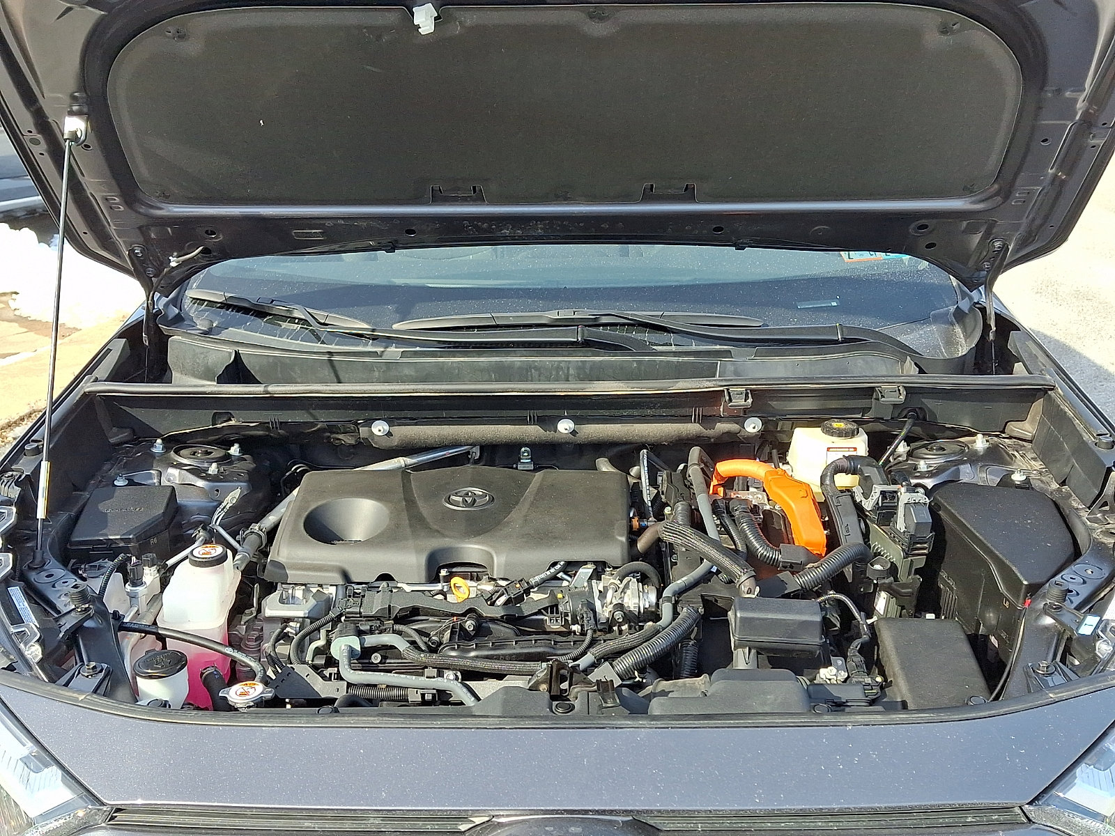 Used 2025 Toyota RAV4 XLE image 29