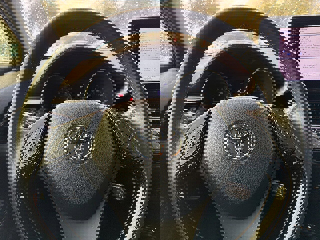 Used 2019 Toyota C-HR Limited image 11