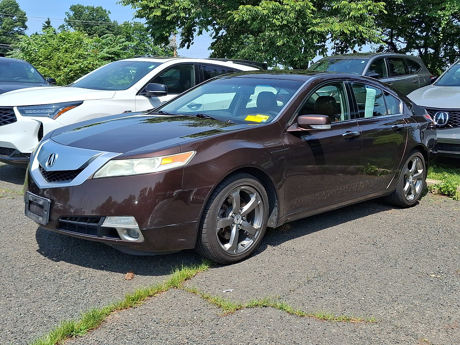 Used 2011 Acura TL SH-AWD image 3