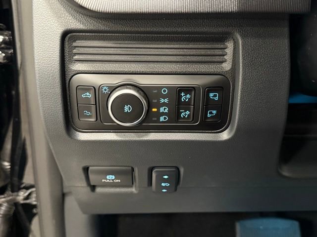 New 2025 Ford F250 Platinum image 14