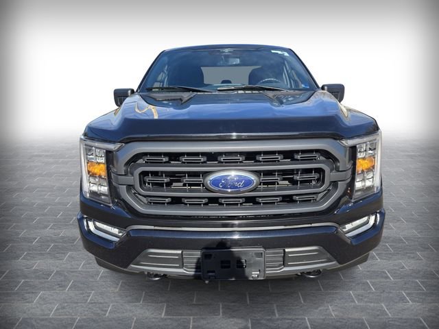 Used 2023 Ford F150 XLT w/ Equipment Group 302A High image 2