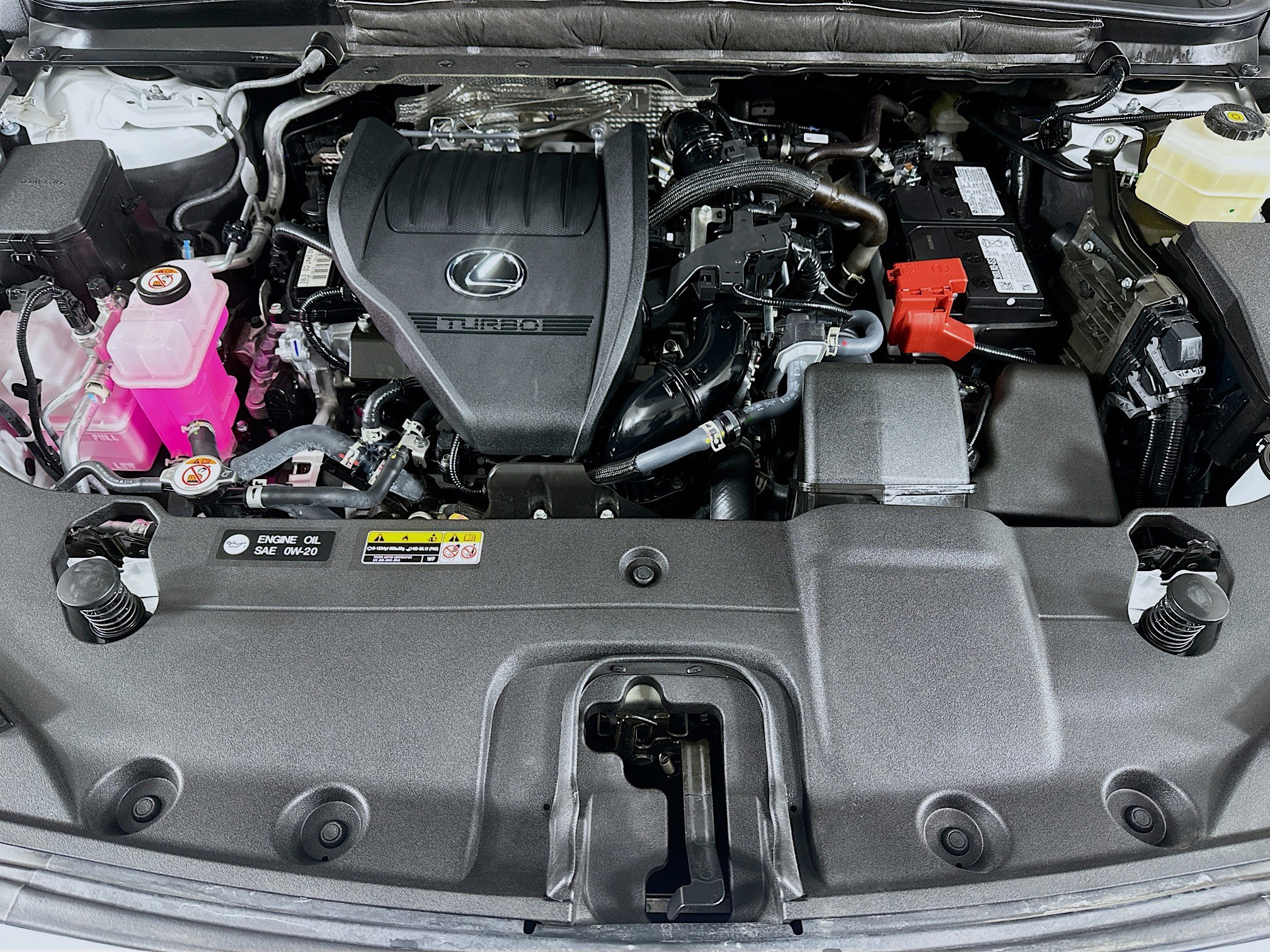 Certified 2025 Lexus RX 350 F Sport w/ Convenience Package image 29