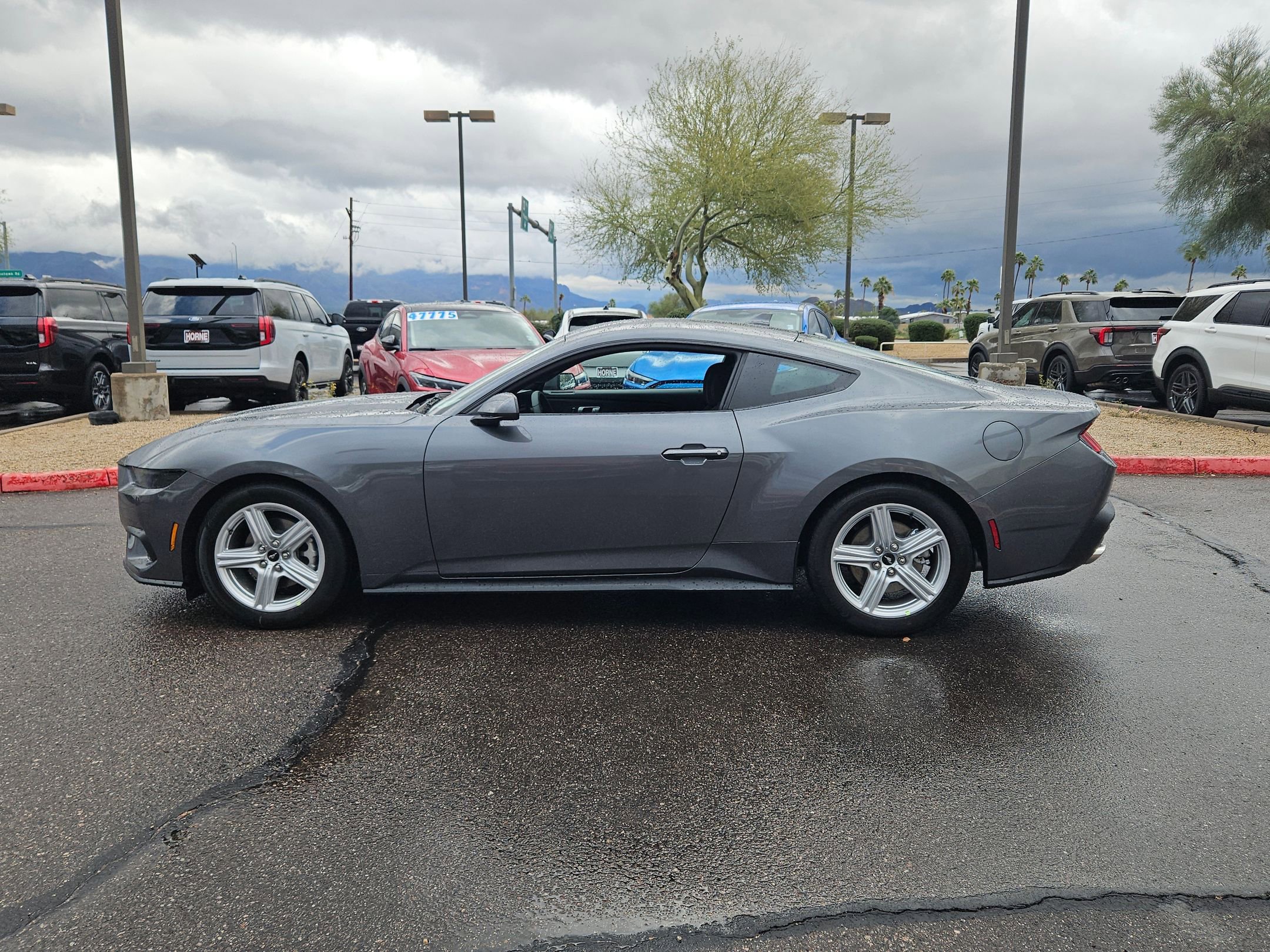 New 2026 Ford Mustang Coupe image 5