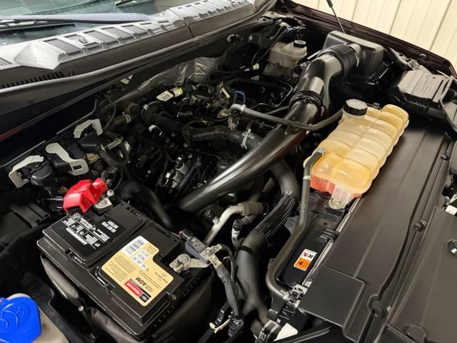 Used 2019 Ford F150 XLT w/ Equipment Group 302A Luxury AWD/4WD image 43