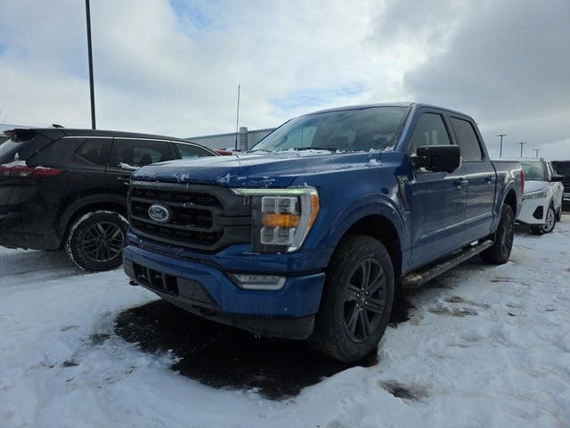 Used 2023 Ford F150 XLT w/ Equipment Group 302A High image 8