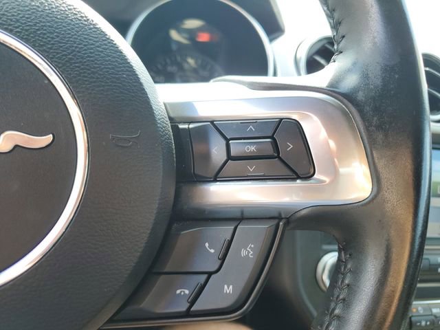 Used 2019 Ford Mustang GT w/ Equipment Group 301A image 13