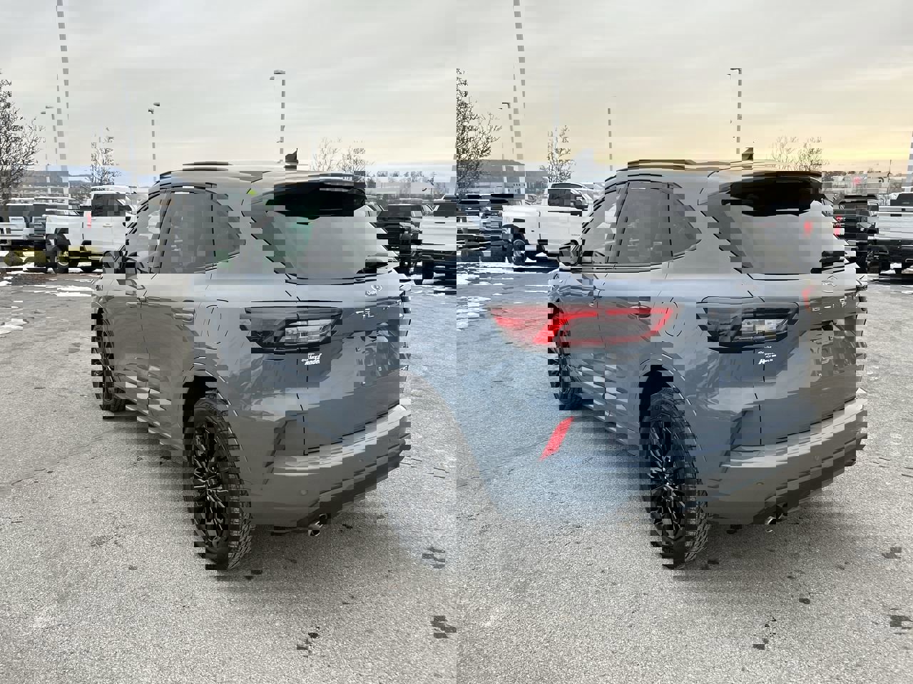 Used 2023 Ford Escape ST-Line Elite image 5