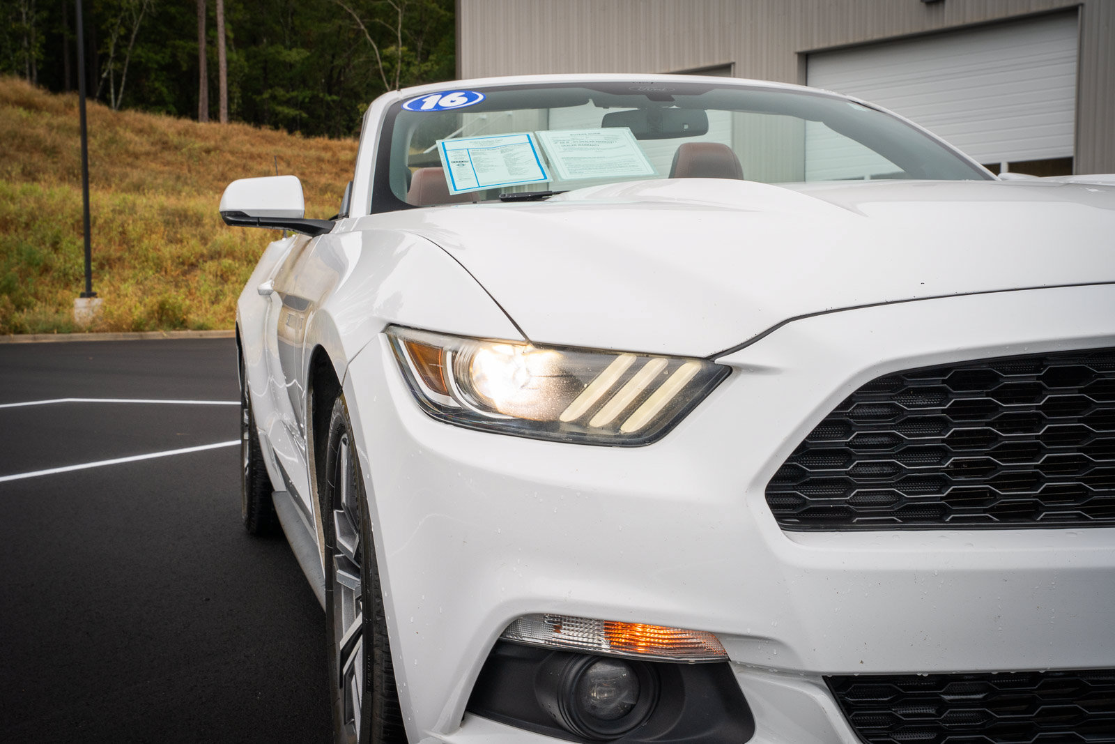 Used 2016 Ford Mustang Premium RWD image 13