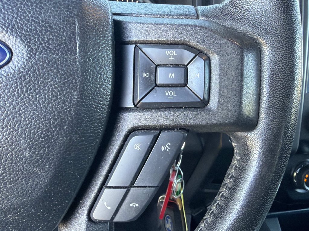 Used 2019 Ford F150 XLT w/ Equipment Group 302A Luxury AWD/4WD image 19