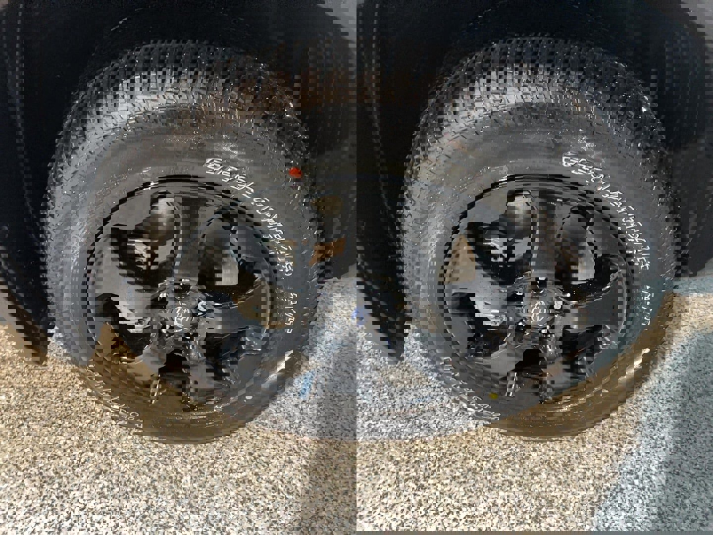 Used 2025 Subaru Forester Wilderness image 2