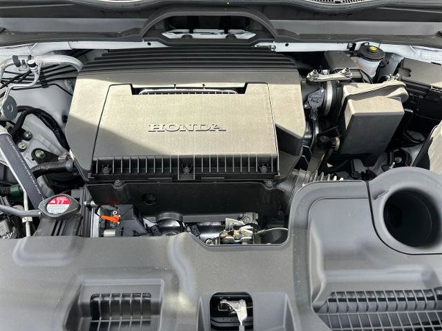 New 2026 Honda Passport TrailSport image 12