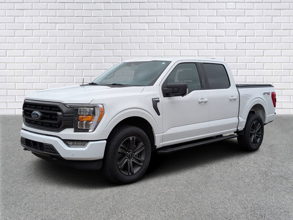 Used 2023 Ford F150 XLT w/ Equipment Group 302A High