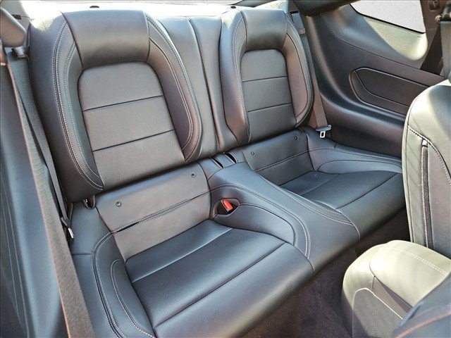 Certified 2025 Ford Mustang Premium w/ Mustang Nite Pony Package RWD image 18
