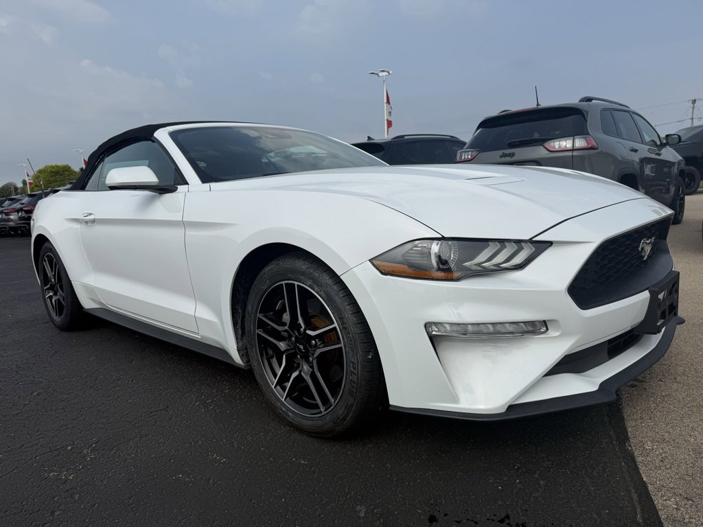 Used 2023 Ford Mustang Premium image 2