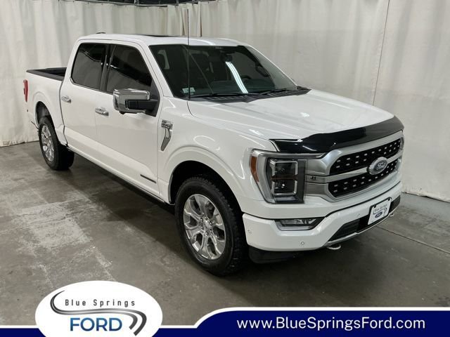 Used 2022 Ford F150 Platinum image 1