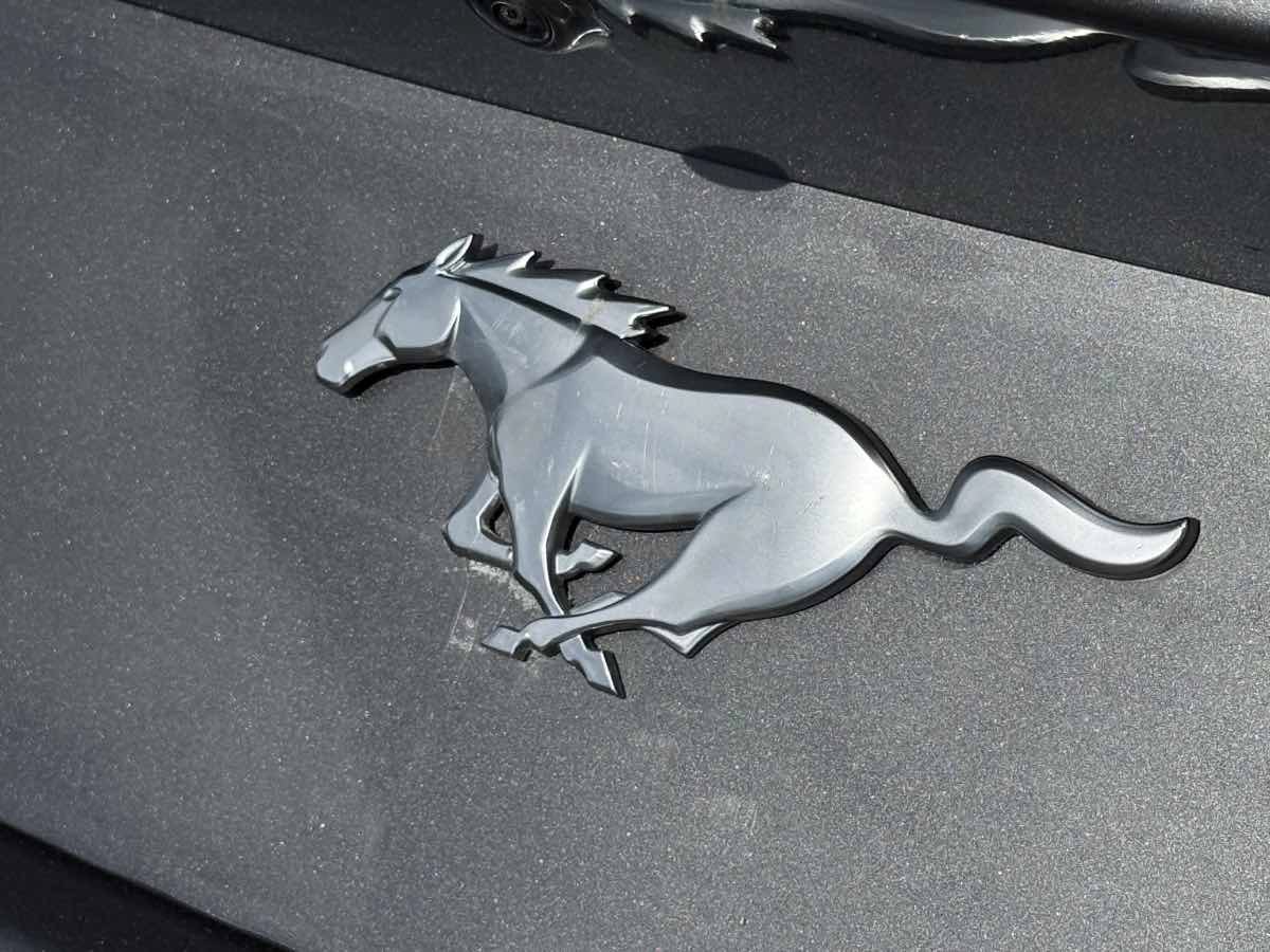 Used 2024 Ford Mustang Premium RWD image 13