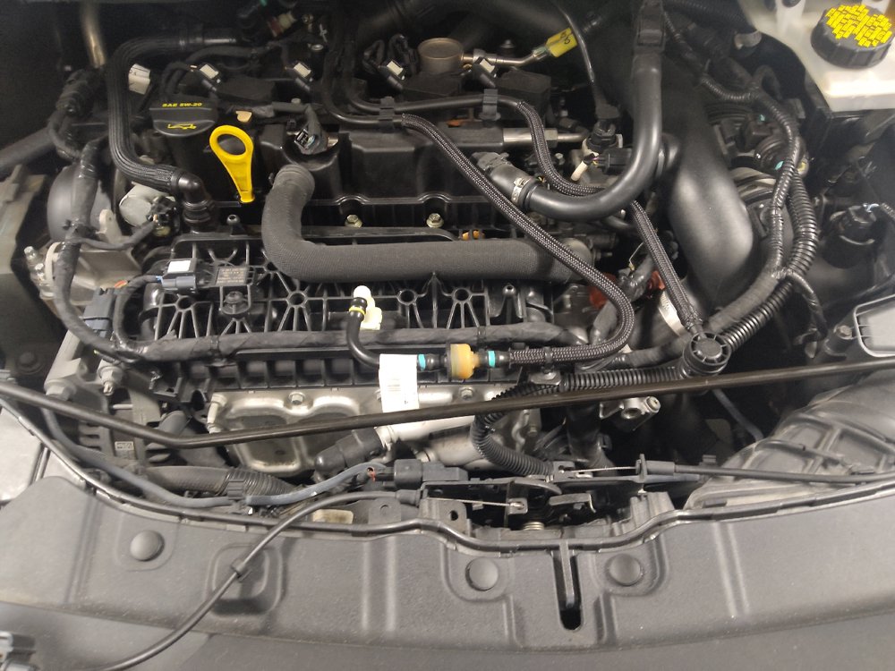 Used 2019 Ford Escape SEL FWD image 30