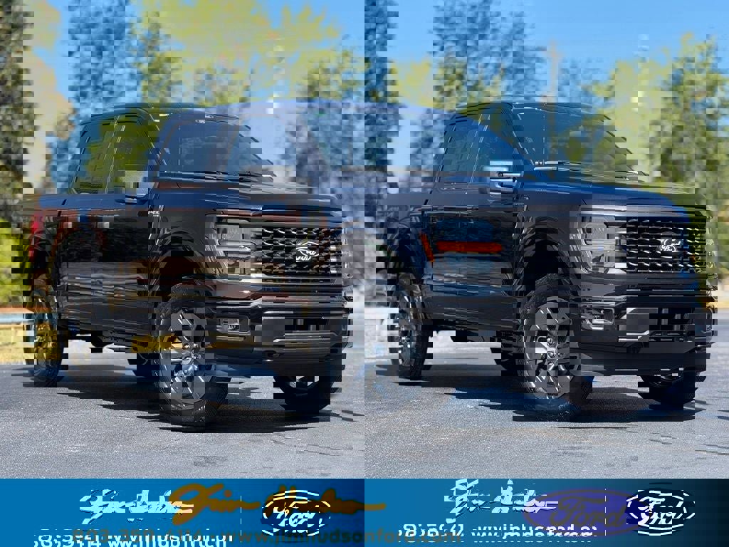 New 2025 Ford F150 STX image 1