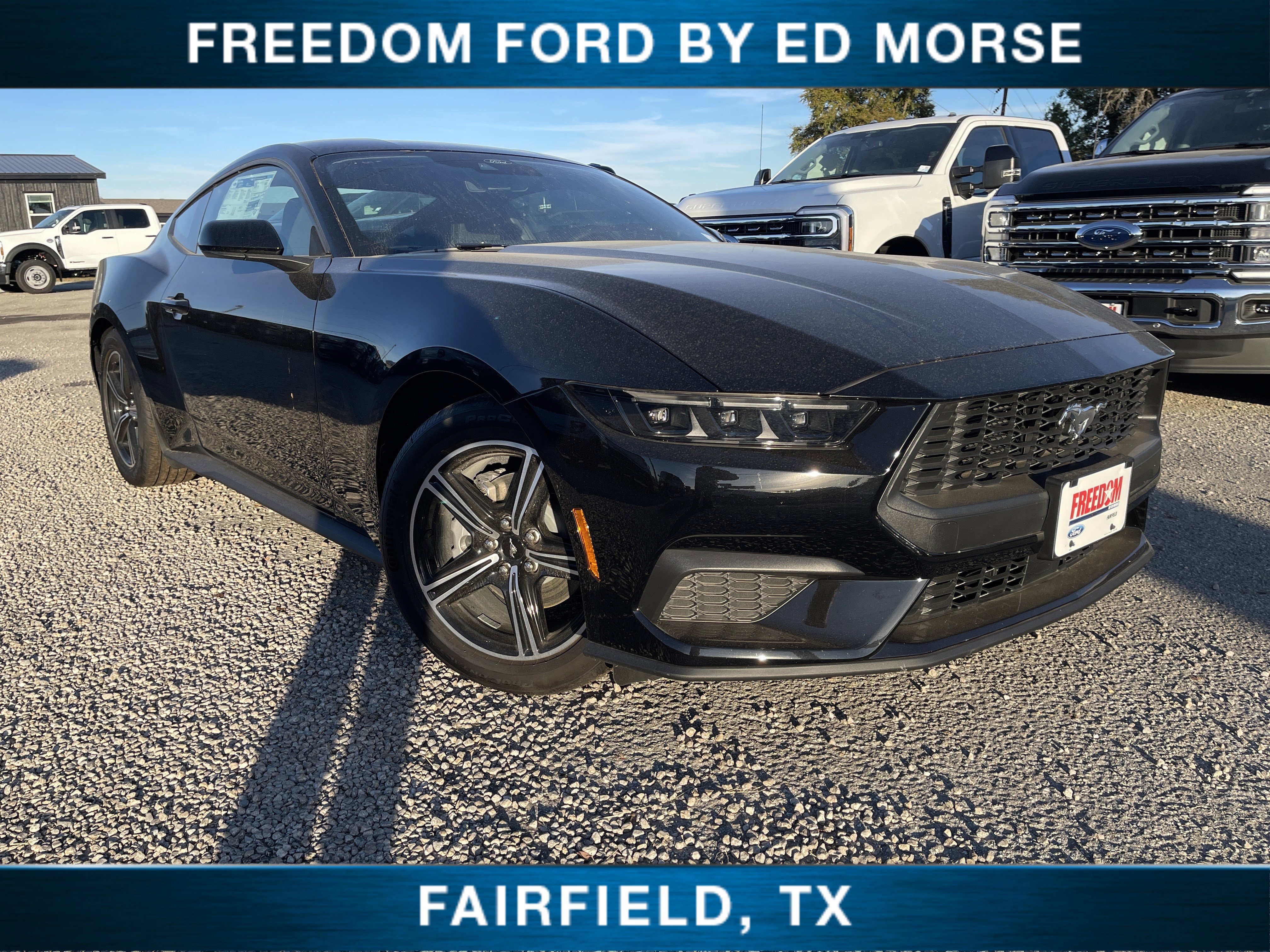 New 2025 Ford Mustang Coupe