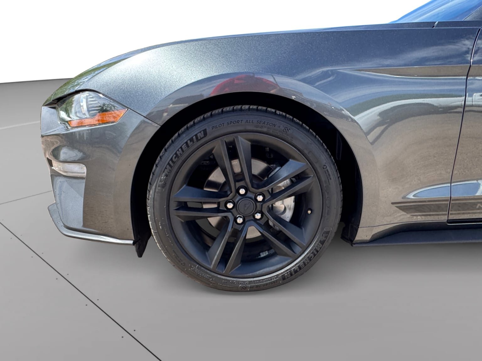 Used 2019 Ford Mustang Premium w/ Equipment Group 201A RWD image 9