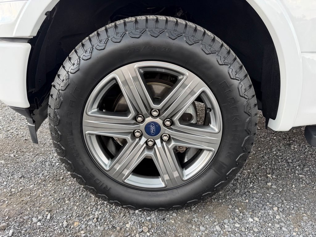 Used 2019 Ford F150 XLT w/ Equipment Group 302A Luxury AWD/4WD image 13