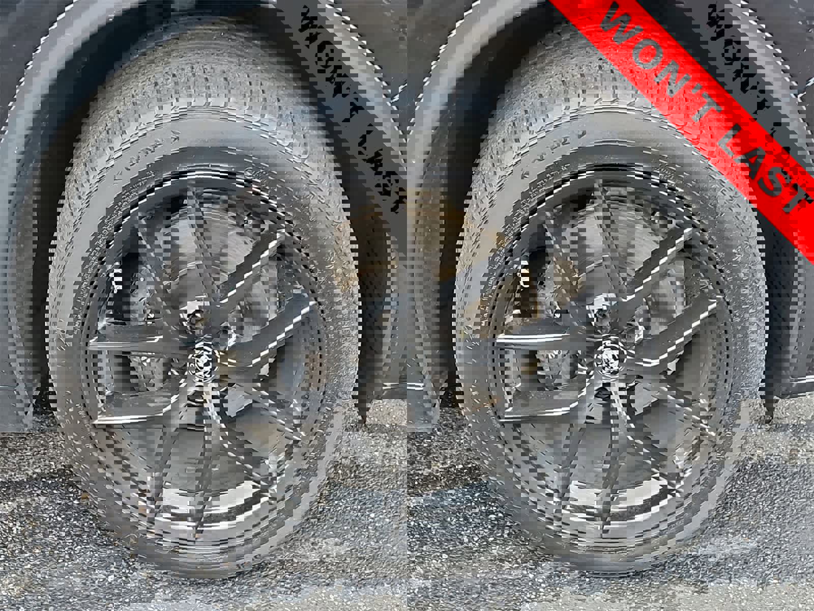 Used 2019 Alfa Romeo Stelvio w/ Nero Edizione image 12