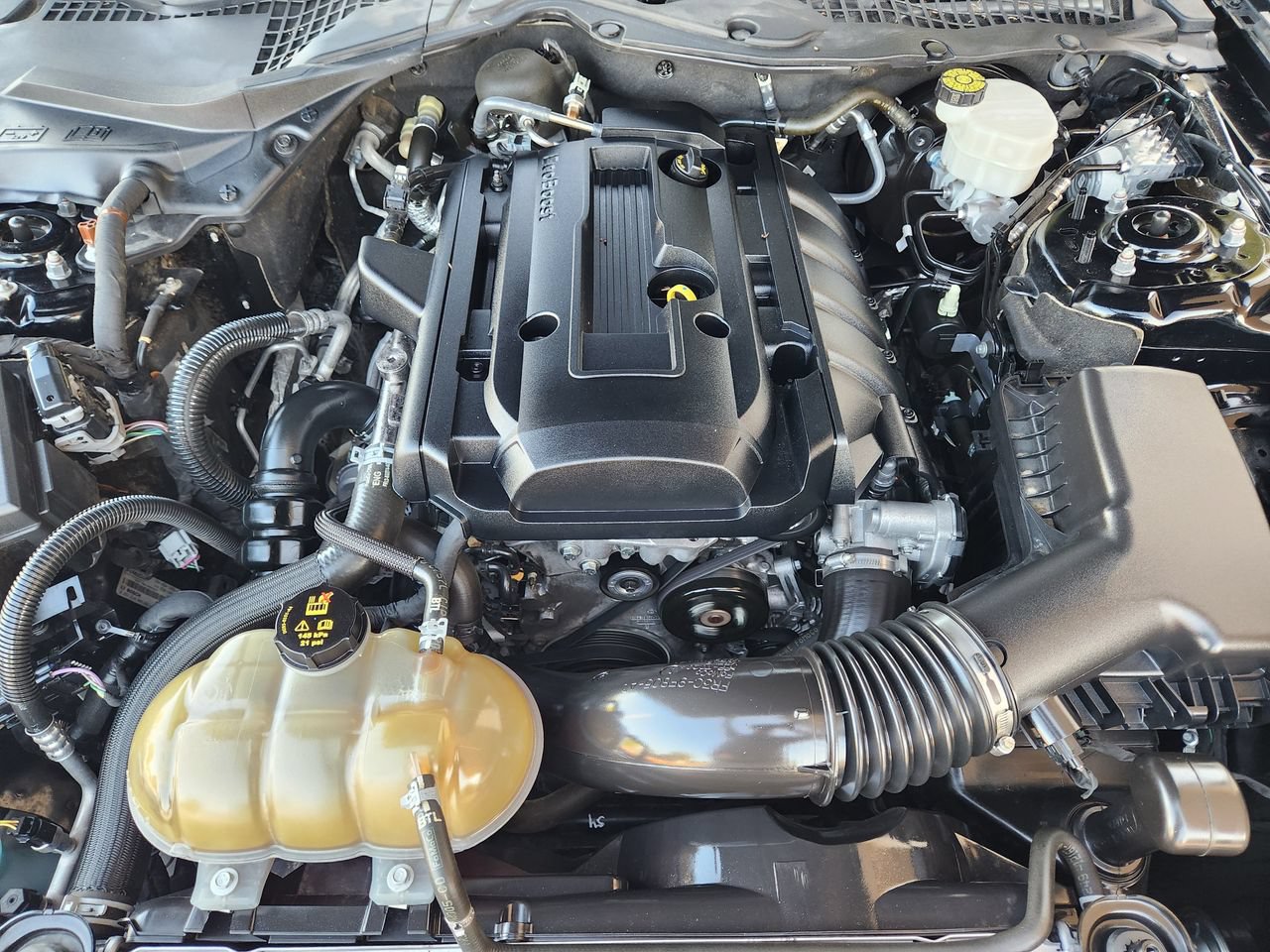 Used 2020 Ford Mustang Premium RWD image 29
