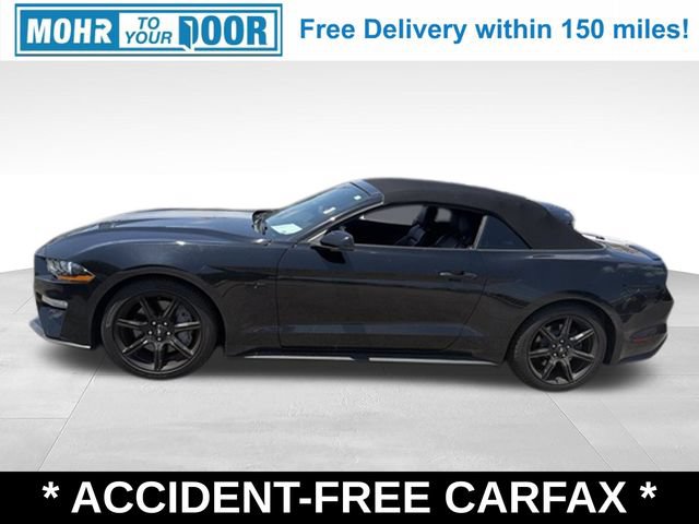 Used 2019 Ford Mustang GT Premium w/ Equipment Group 401A RWD video 2