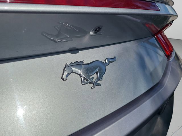 Used 2024 Ford Mustang Premium image 26