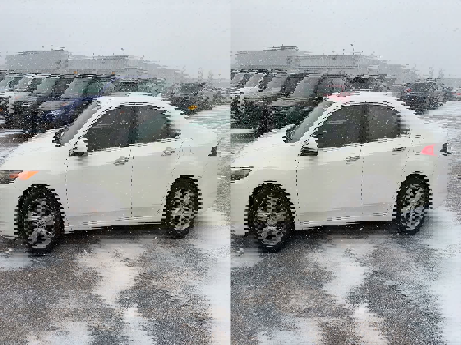 Used 2010 Acura TSX Sedan image 2