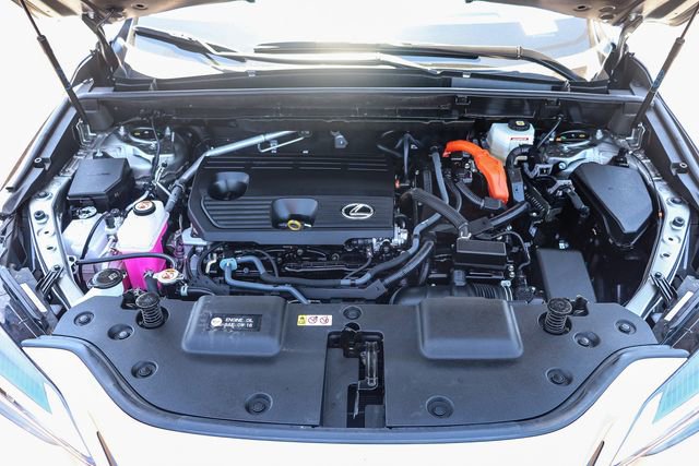 Used 2025 Lexus NX 350h AWD w/ Cold Area Package image 33