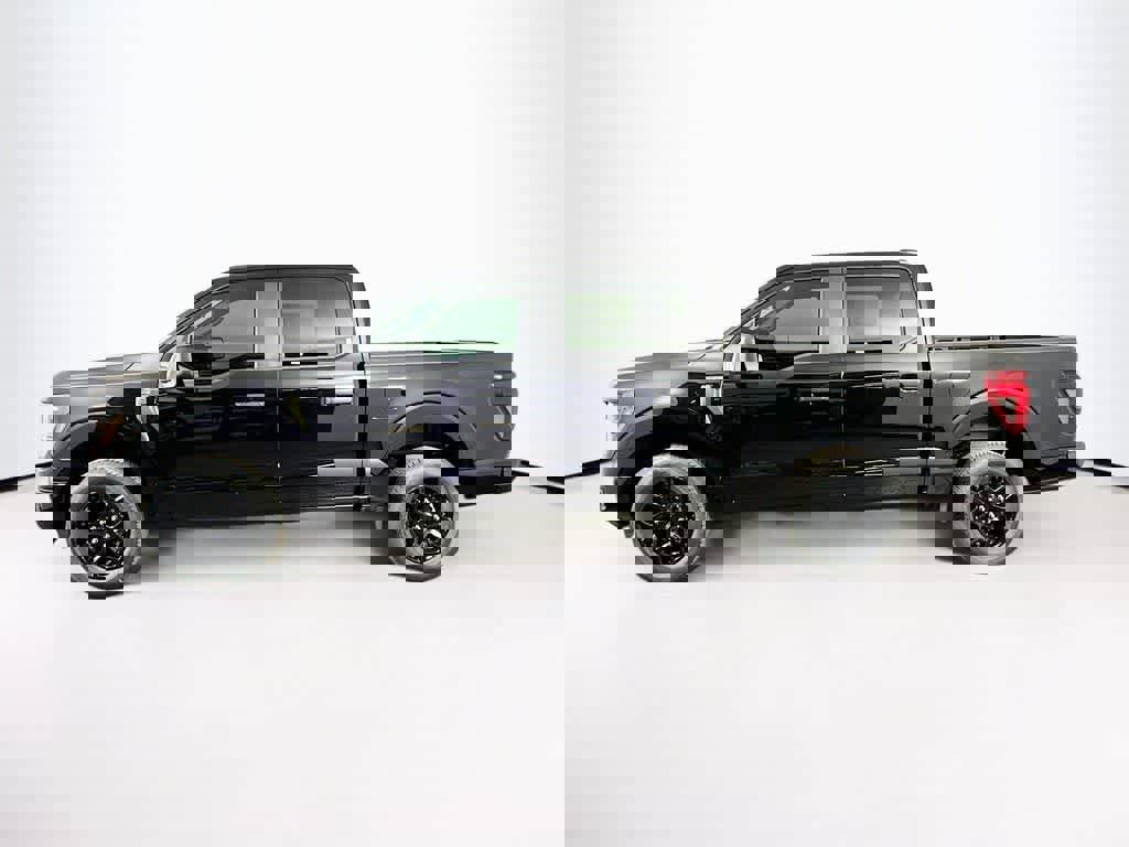 New 2025 Ford F150 STX image 3