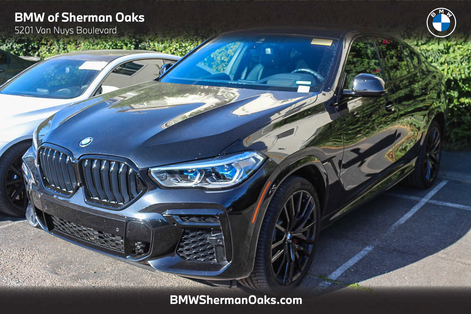 Used 2023 BMW X6 xDrive40i w/ Executive Package image 1