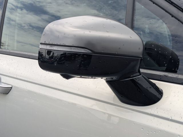 Certified 2025 Kia Carnival SX Prestige FWD image 13