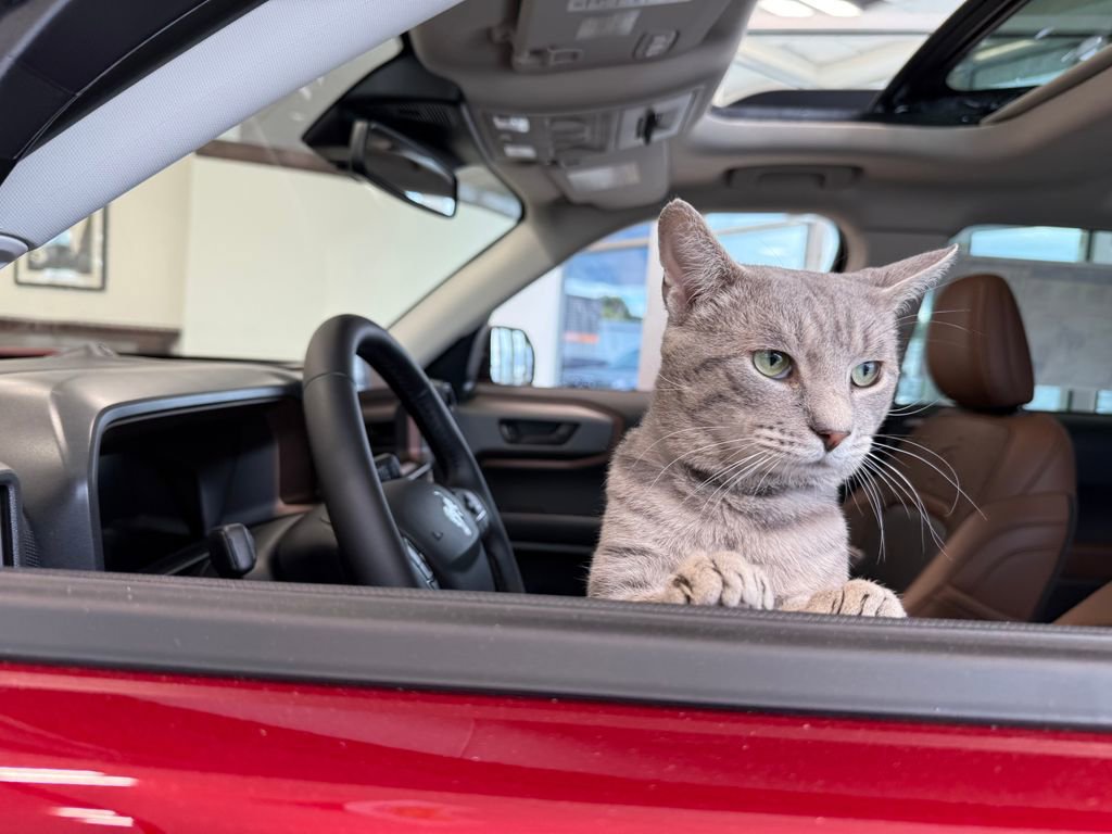 Certified 2023 Ford F150 XLT w/ Equipment Group 302A High image 24