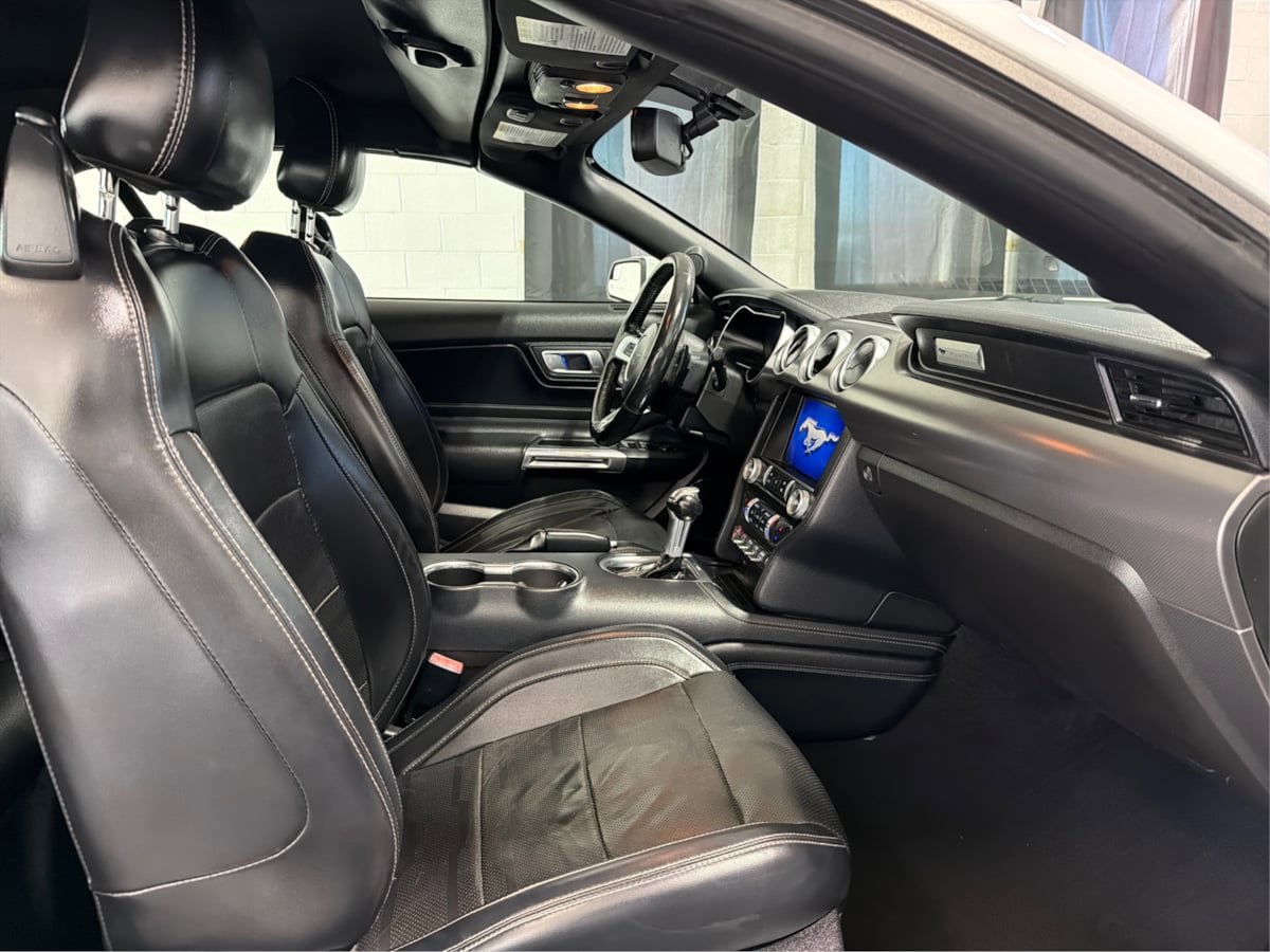 Used 2019 Ford Mustang GT Premium w/ Equipment Group 401A RWD image 14