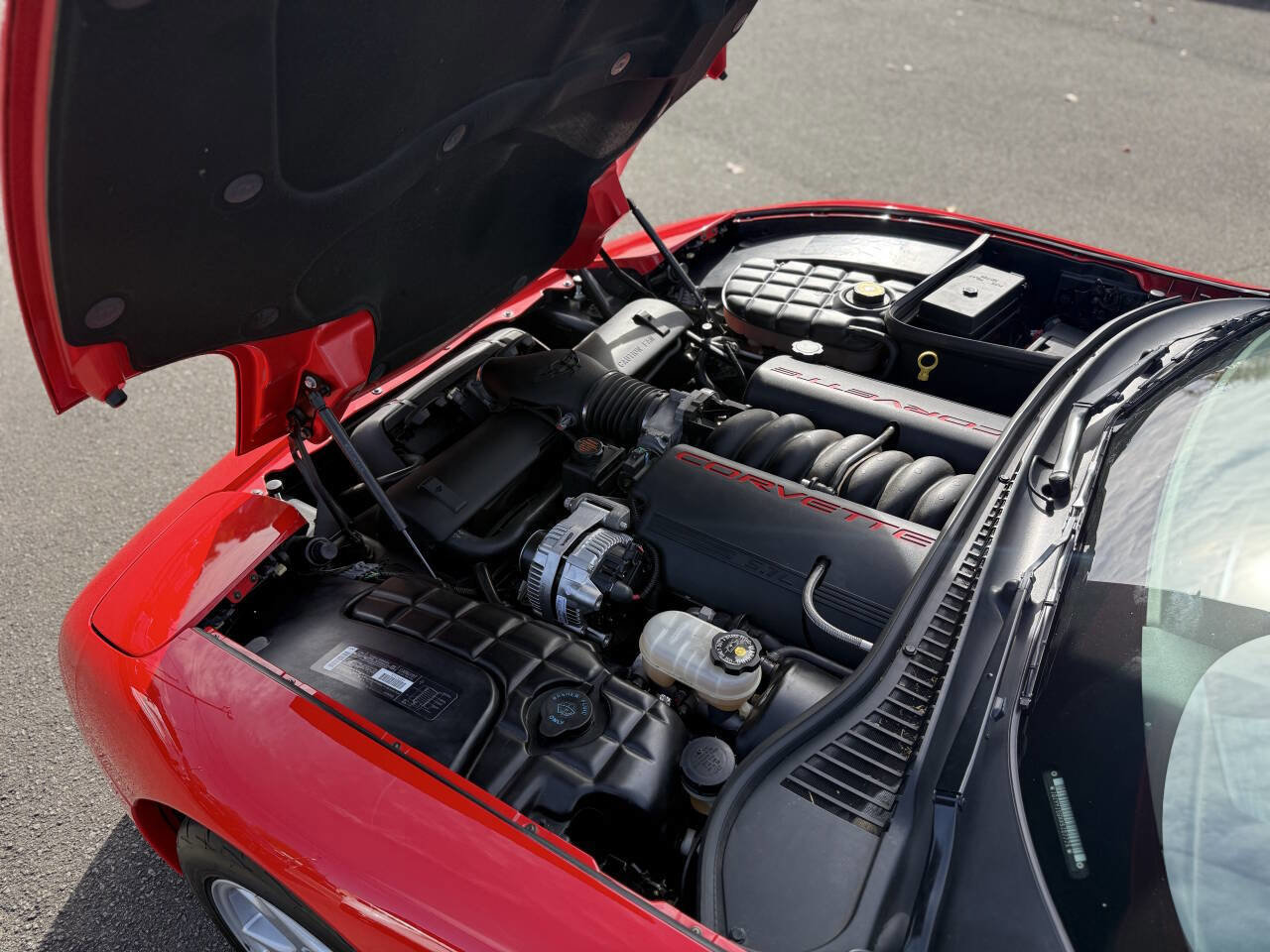 Used 1999 Chevrolet Corvette Coupe image 25