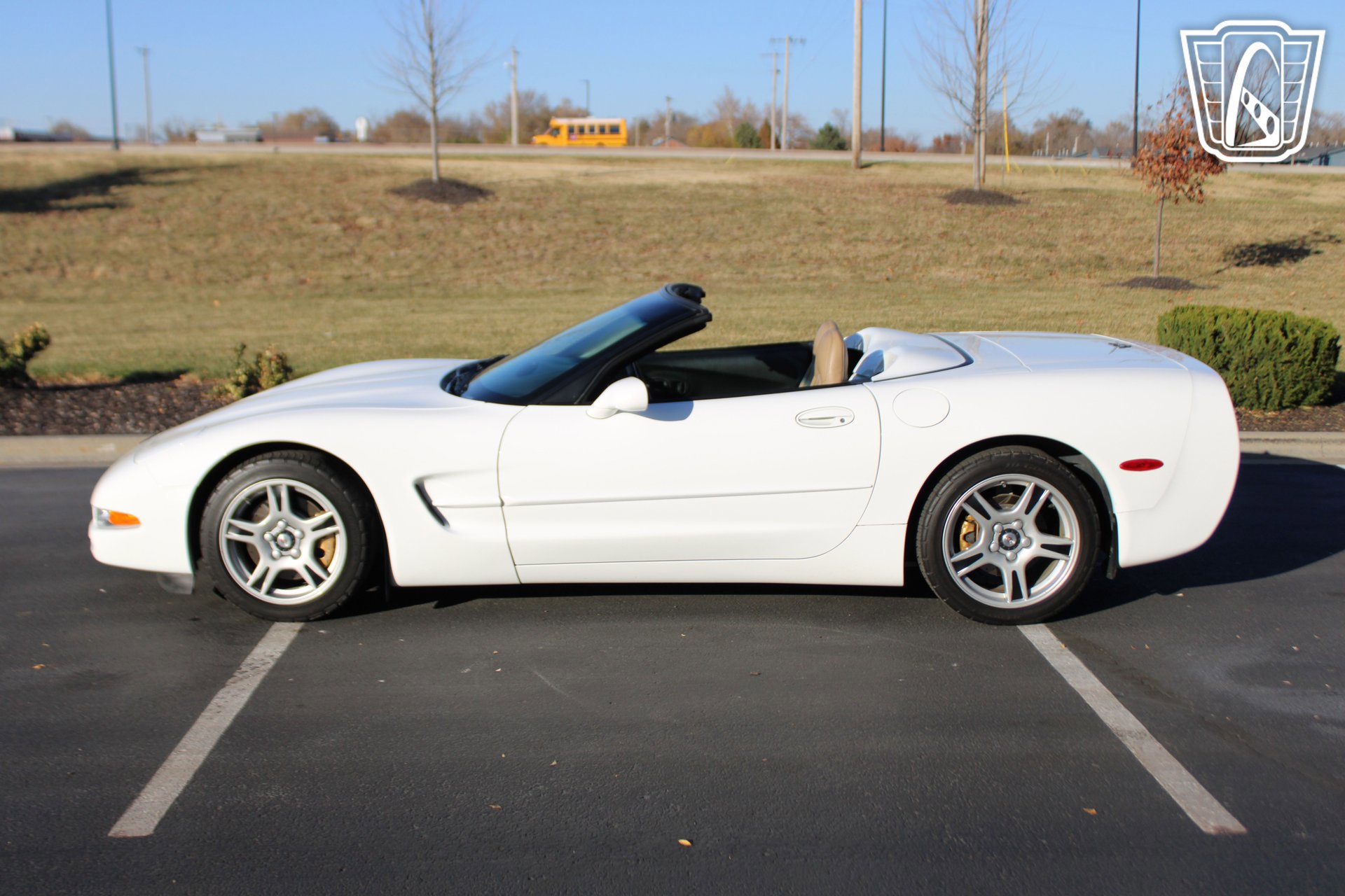 Used 1998 Chevrolet Corvette Convertible image 2