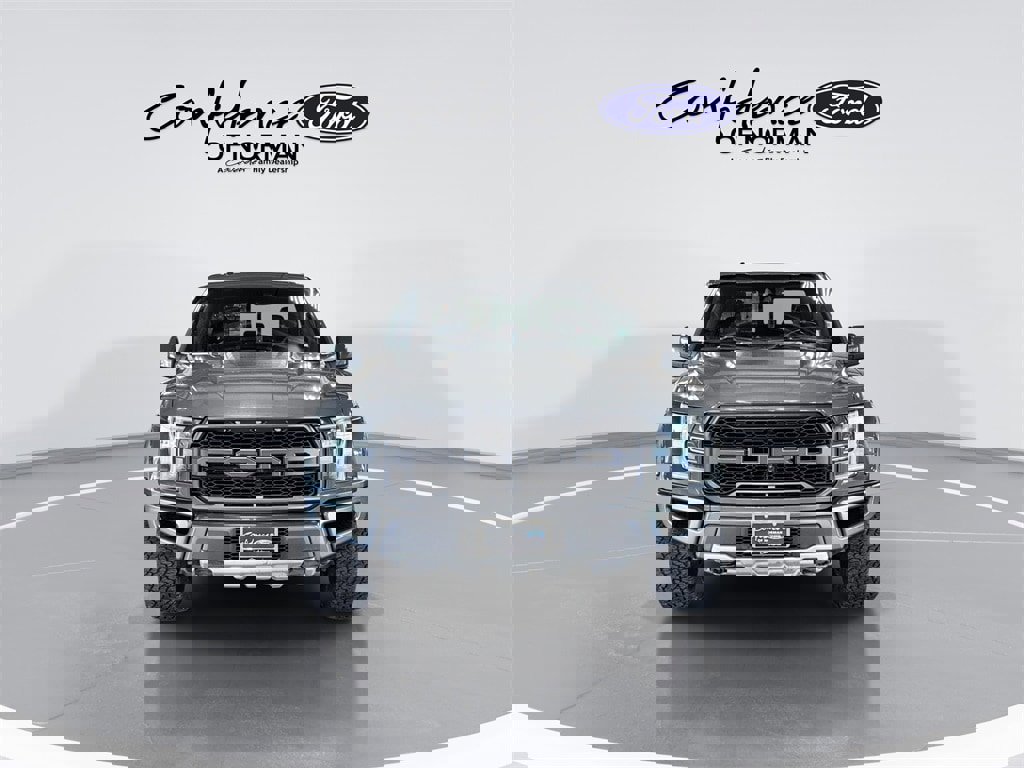 Used 2018 Ford F150 Raptor w/ Equipment Group 802A Luxury image 2