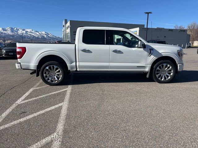 Used 2023 Ford F150 Limited image 2
