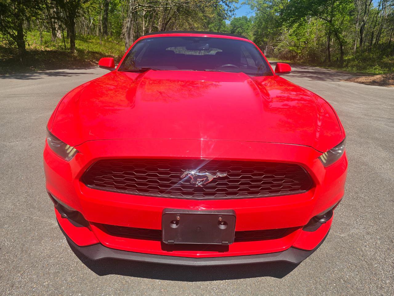 Used 2016 Ford Mustang Premium RWD image 13
